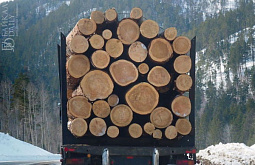 � ���������� ������������ ����������� � ���������� ����� ��������