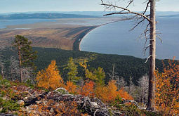 ������� ����� �� ������ ����