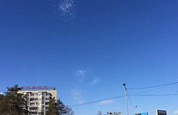 � �������� � �������� �������� ������� �������� (�����)