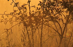 � ������� ��������� �������� ����� ������� ����������� 