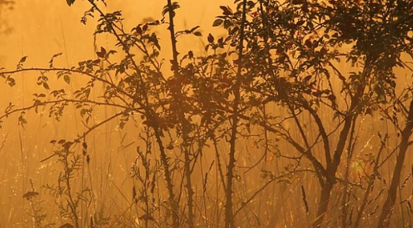 � ������� ��������� �������� ����� ������� ����������� 