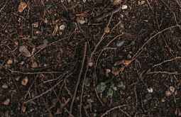 � ������� ����������� ��������� ���������� ������� 