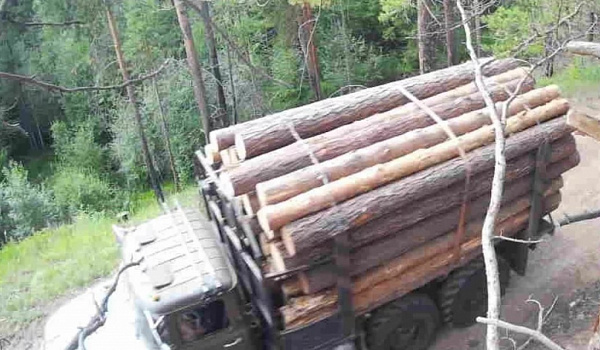 В Еравнинском районе Бурятии наводят порядок с арендой лесов 