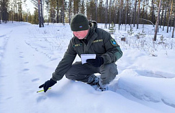 � ������� ��������� ������ ���������� ���� ����� �������� � ����