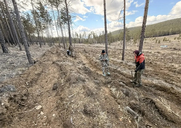 ���� ����-��� ���������� �� 5 ����� �������� 