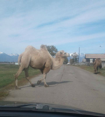 � ������� �������� ������� ������ � ������ ������ (����, �����) 