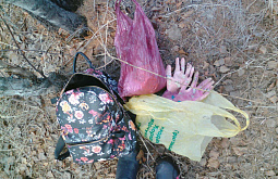 ����-������ ��������� �������� � ������-����� �����������