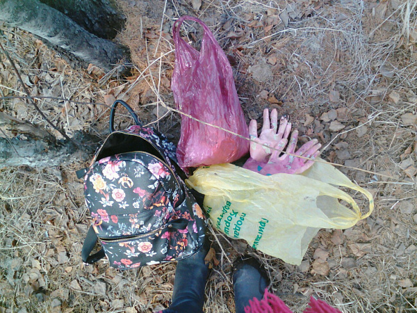 ����-������ ��������� �������� � ������-����� �����������