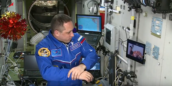 ����� ���������� �������� ���� ������ ������� (�����)