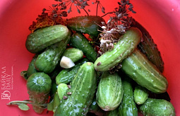 ����������� ��������: ������ � ������� �������� ����� ������ ����