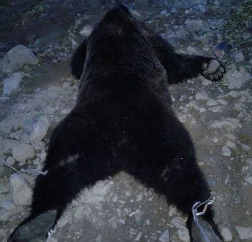 � ������� ������ �������� ����������� �������� � ����� �� ������