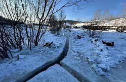 ��� ����-��� ������� ��������� ������������ ��� ����������� ��������