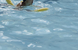 � ����-��� ����� ����� ������������� ������ ������ ����� �����