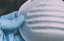 ���� �������� ������ ������� �������� �������������� ������ 