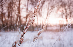 � ������� ������ � ������� ������ ���������� ��������