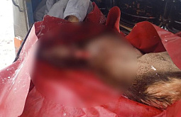 � ��������� ������� ���������� ������� ������ � ����� ����� ������������ �����