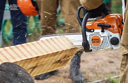 ������ ������� ������� �� ���� ��������� ����� 