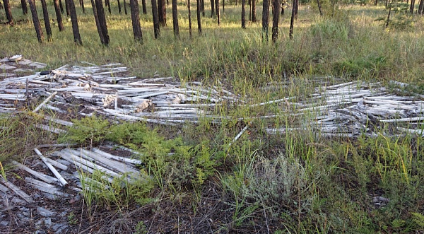 � ������� � ���� �������� ������ �� ������� ����