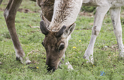 � ������� ��������� ���������� ������ ������ ������