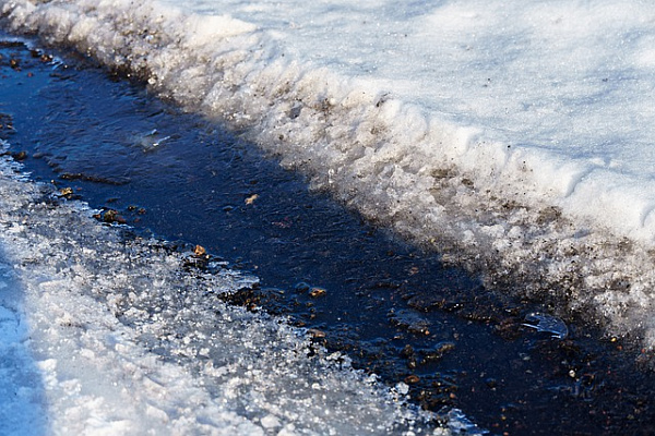 ������ � ���� � ������� ����� ���������� �������������