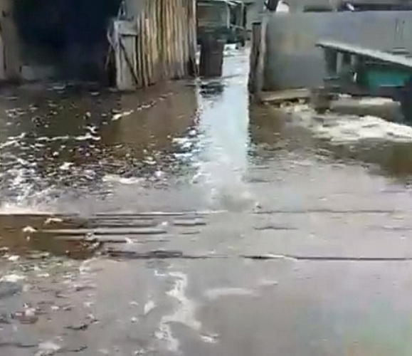 � ������� ������ ����. ����� 