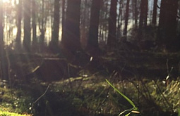 ������ ������� ����������� ��-�� ��������� ��������� ������� 