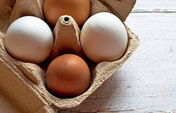 Через Бурятию за неделю провезли 3 миллиона куриных яиц
