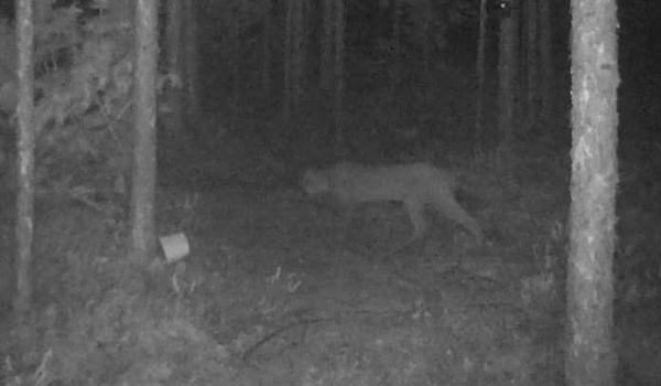 � ������� ���� ������ ��� �������� � ����������� 