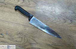 � ������� �������� �������� �������� 29-������ �������� 