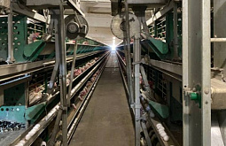 �� ������������ � ����-��� ����� ���������