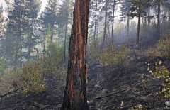 В Бурятии потушили сложный лесной пожар 