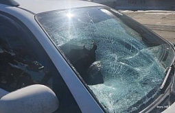 � ��������� ������� ��������, �������� �������� ������, ���� ��� ���� �������