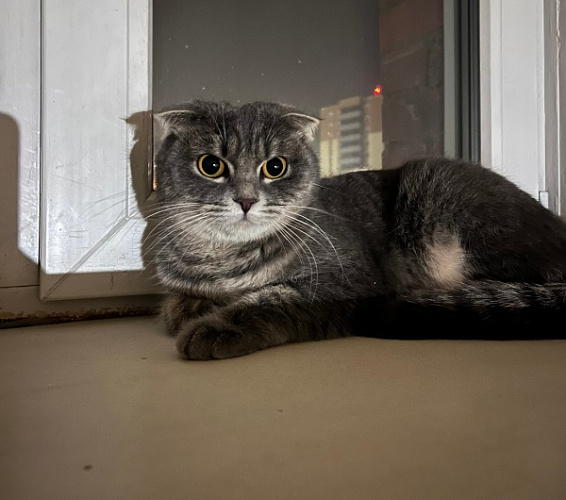 � ����-��� ���������� ������� ����������� ���������� � ������� � ��������