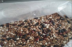 � ������� ��������� ������������ ������ 