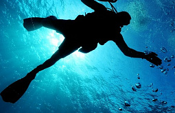 � �������� ������� ������ ������ �� ����������� �BaikalFree�