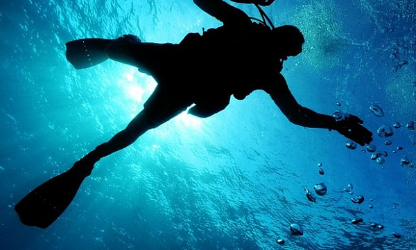 � �������� ������� ������ ������ �� ����������� �BaikalFree�