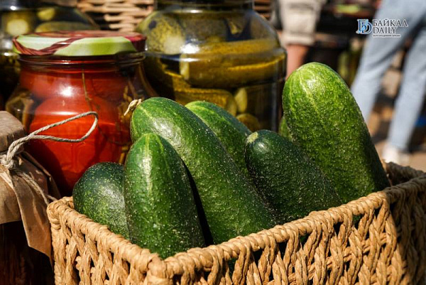 � ����-��� ��������� ����� ����-����� 