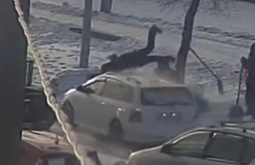 � ����-��� �������� ��� ������ ������� ������ ������ � ������� 