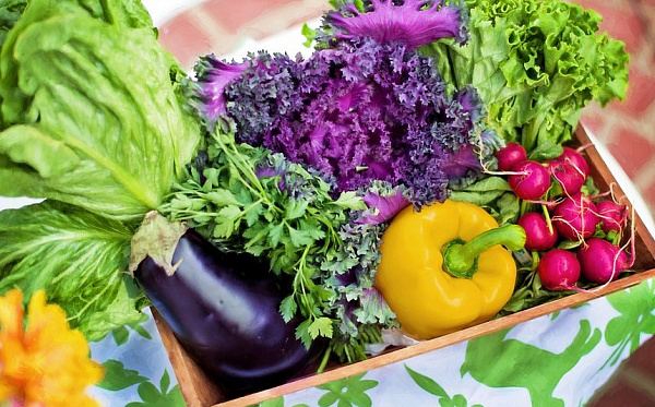 � ������� ����� ����������� ��������� �����