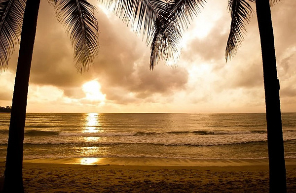 ���������� ������� 120 ����� �� ���������� ��-�� �������� ��������� 