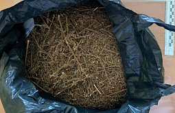 � ��������� ������� ������� �������� ������� � ������� ���������� 