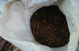 � ������ ������� ������ 28 ����������� ��������� (����) 