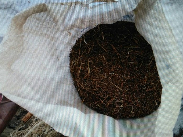 � ������ ������� ������ 28 ����������� ��������� (����) 