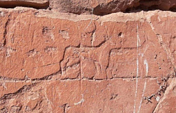 � ���������� ����������� ���� ��������� ������� ����� �������