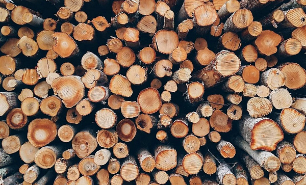 � ������� ��������� ������ �������� ��� ��������� ����