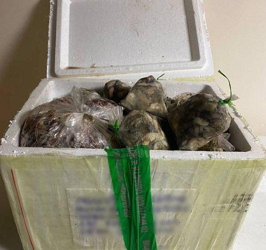 ������ �������� ������� ��������� ������ � ������� 20 �� ������ 