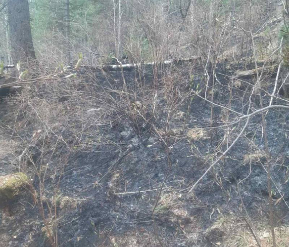 � ������� ��������� ����� �������� ������� ����� � ��������