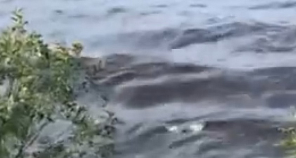 � ������� ����� ����� �� ������������ �������