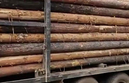 ������� ������� ��������� ������� ����� ������ �� ����������� ���� �� 336 ��� 