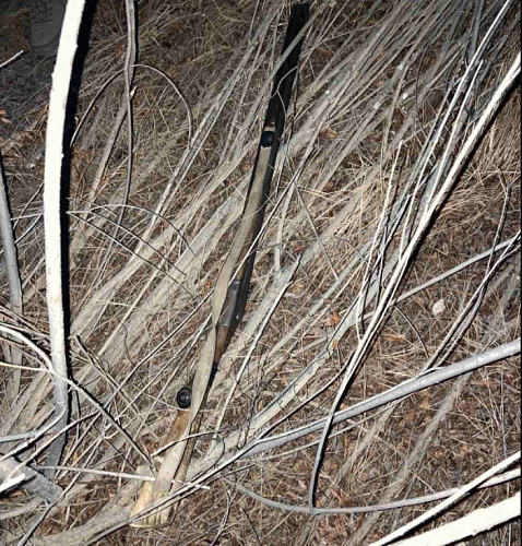 ������ ������� ��������� ������� � ������ 